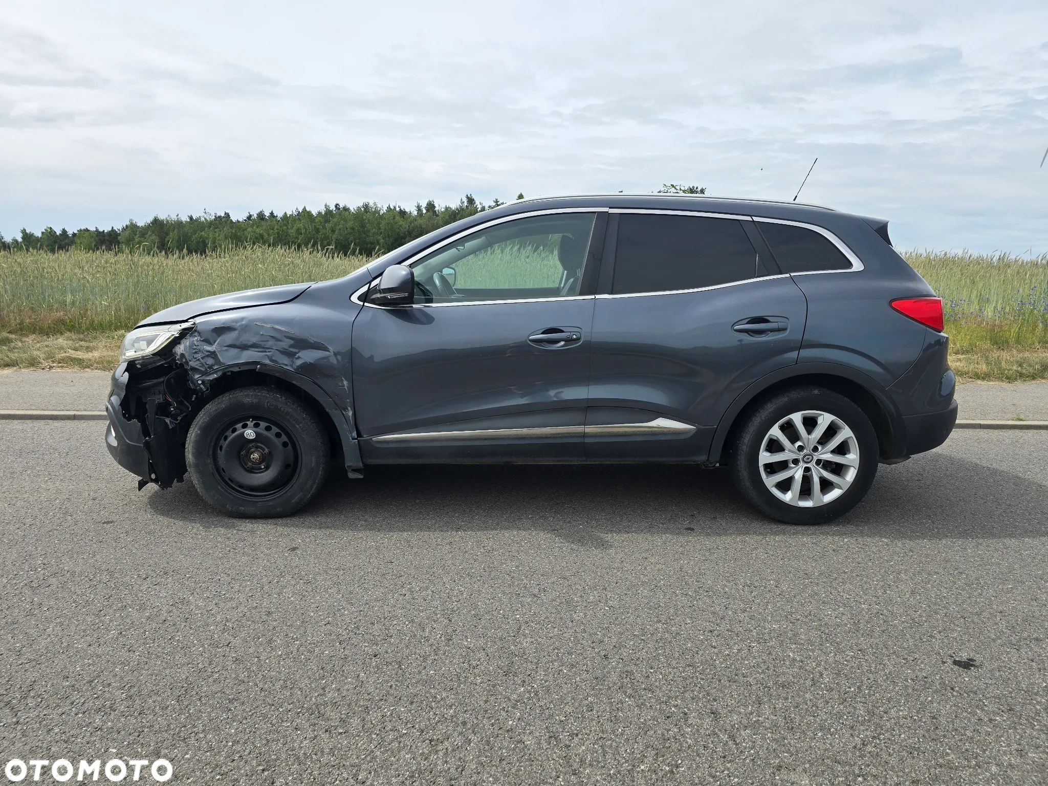 Renault Kadjar 1.6 dCi Energy Business - 6