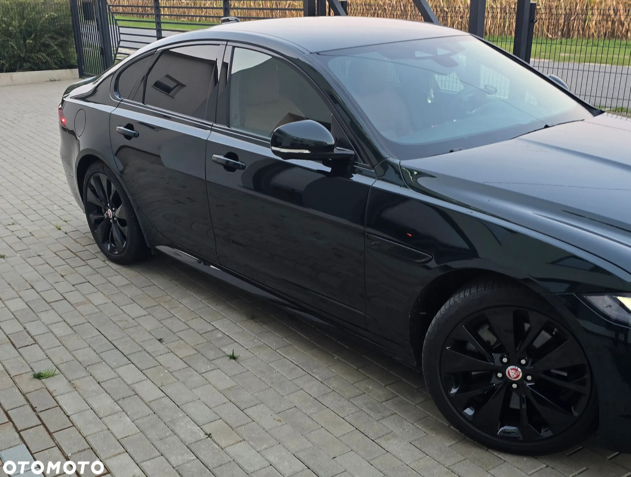 Jaguar XF 2.0 P250 R-Dynamic Black - 27