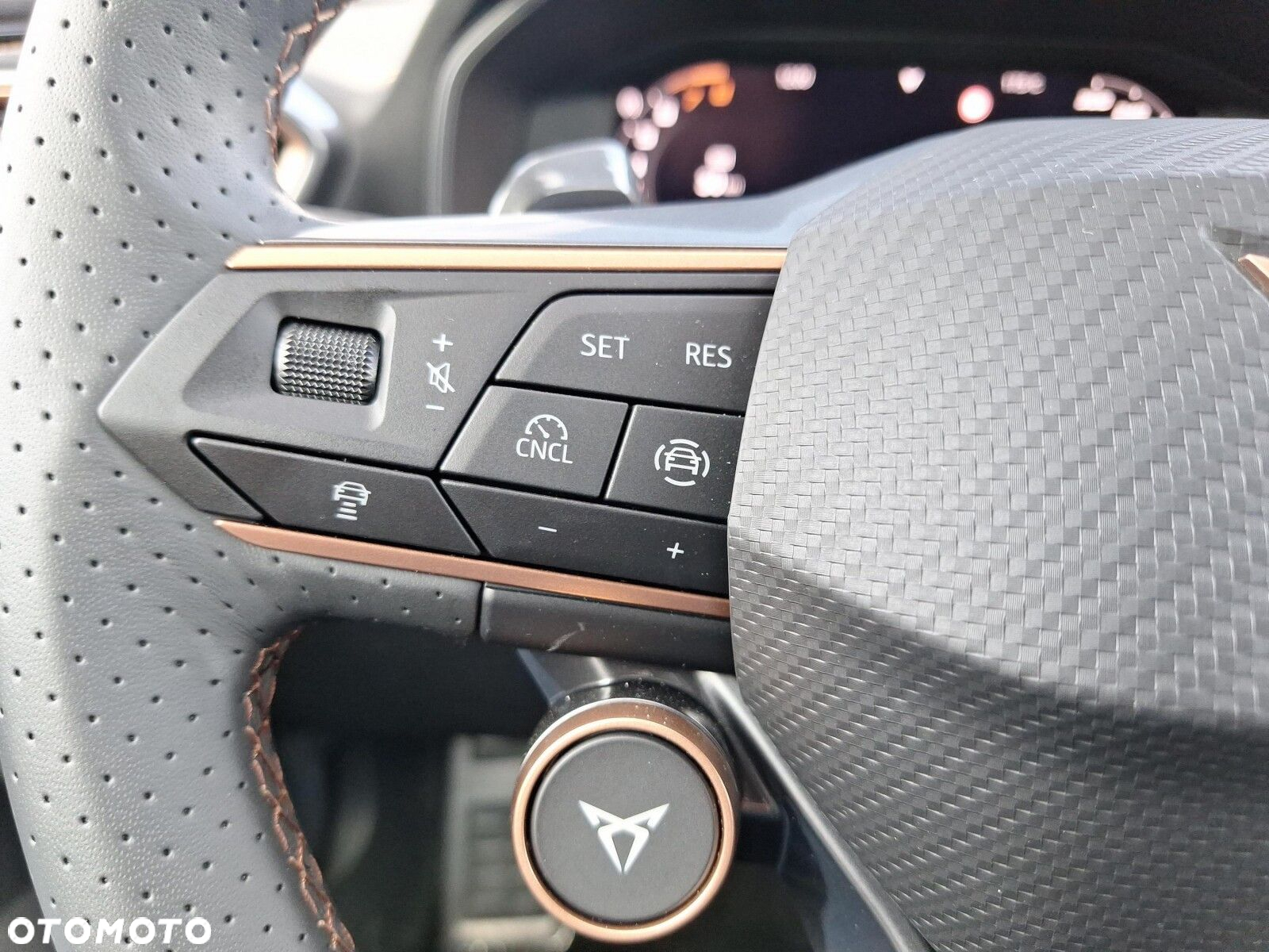 Cupra Formentor 2.0 TSI 4Drive VZ DSG - 13