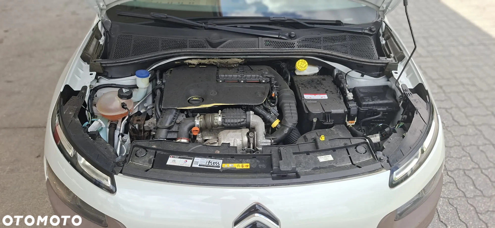 Citroën C4 Cactus BlueHDi 100 Stop&Start ETG6 Business Class - 35