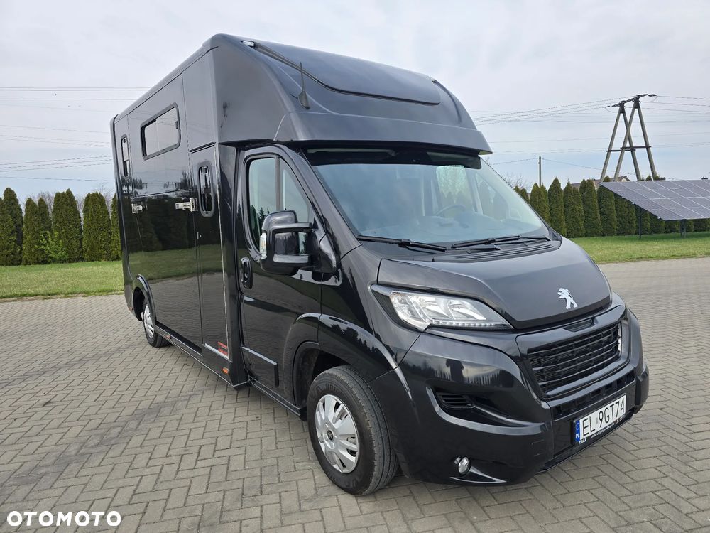 Peugeot Boxer-Koniowóz - 2