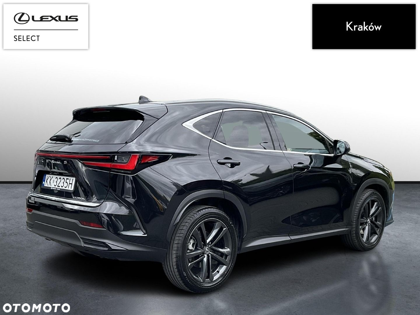 Lexus NX - 5