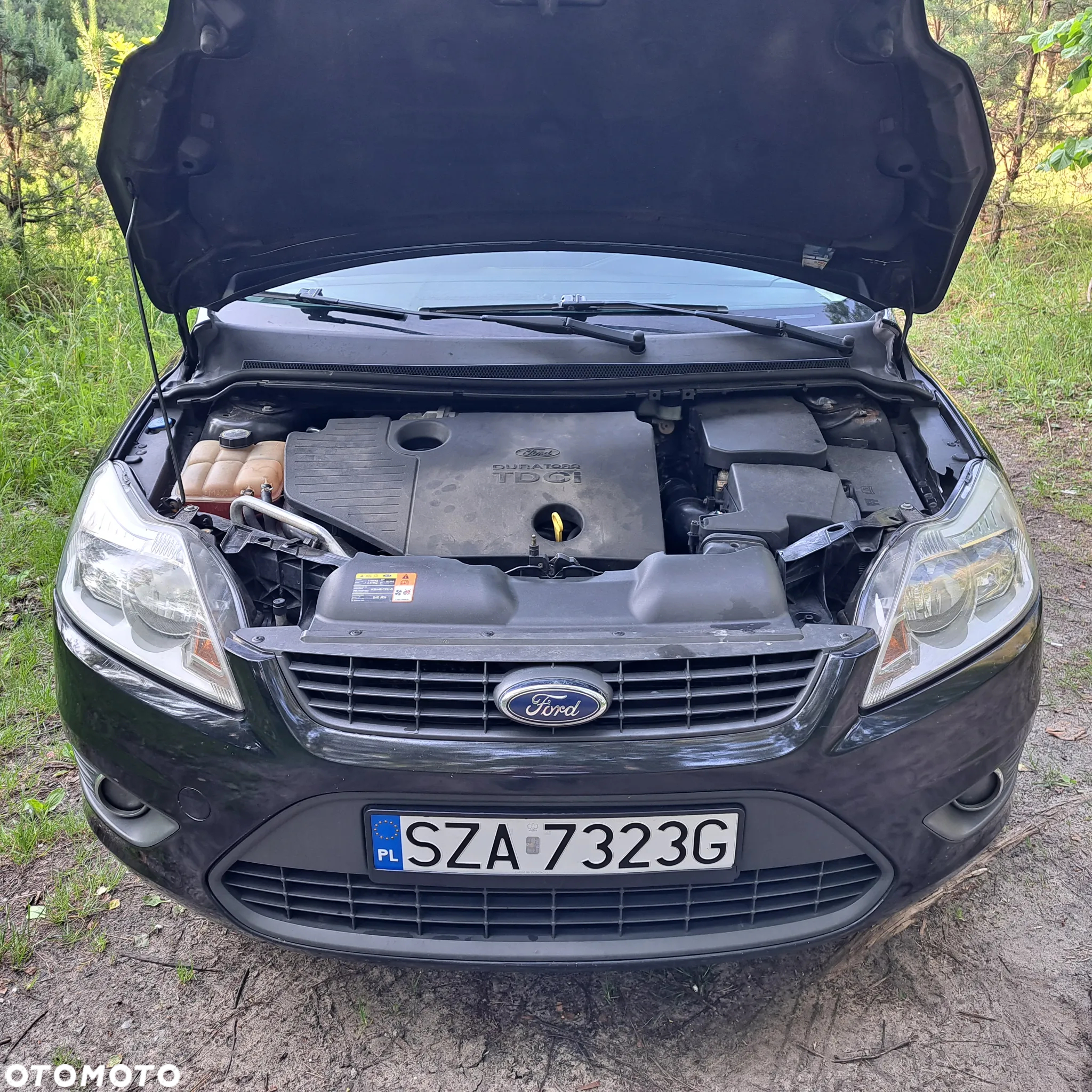 Ford Focus - 7