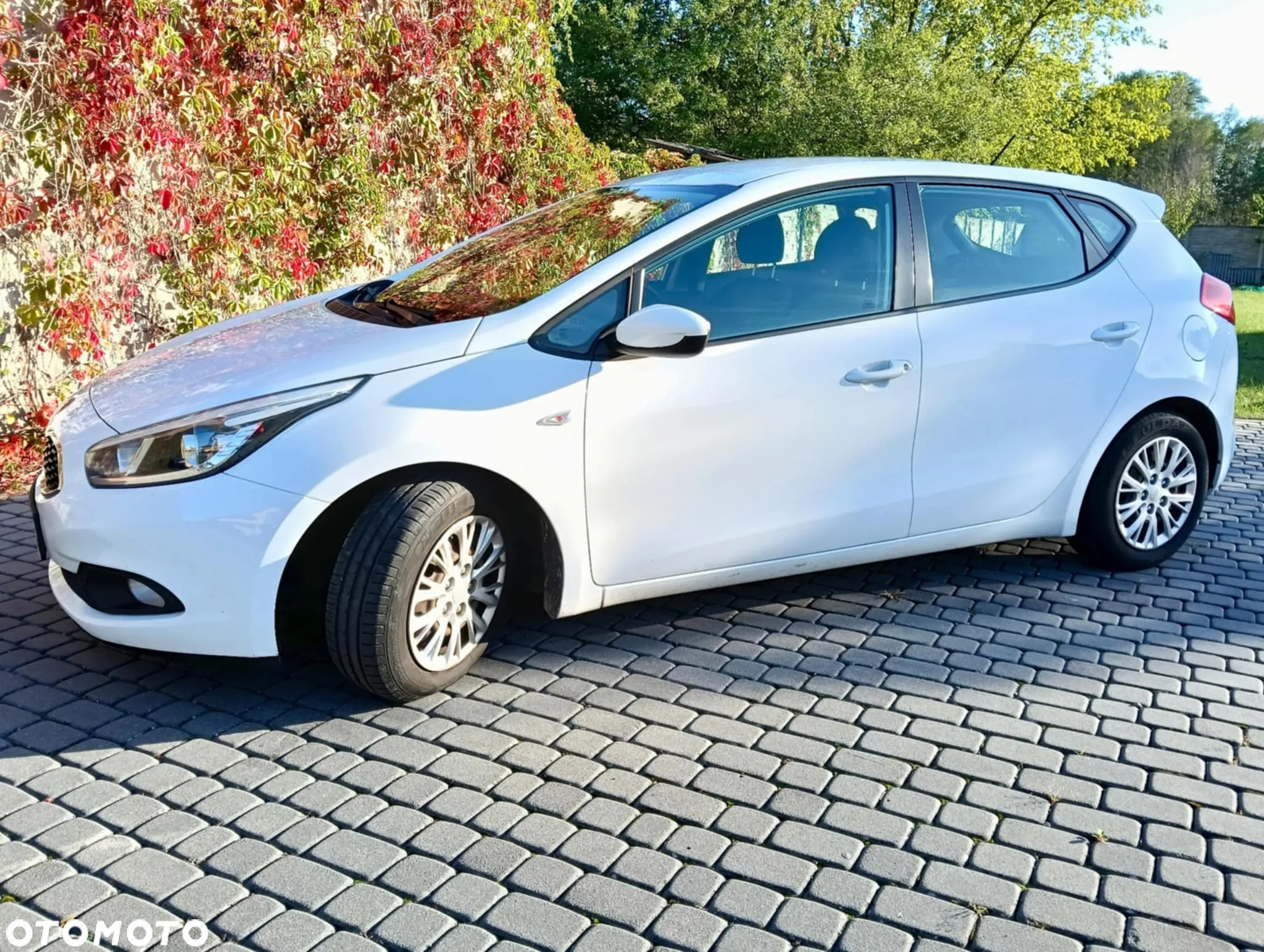 Kia Ceed Cee'd 1.4 CRDi M - 3