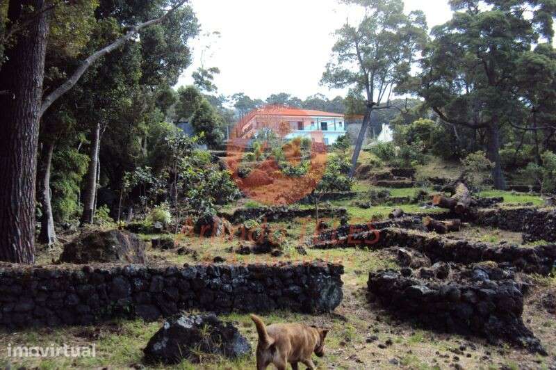 Venda Moradia - Grande imagem: 2/57
