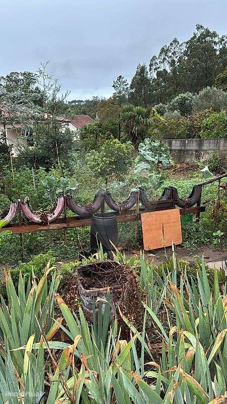 Terreno  para venda - Grande imagem: 4/4