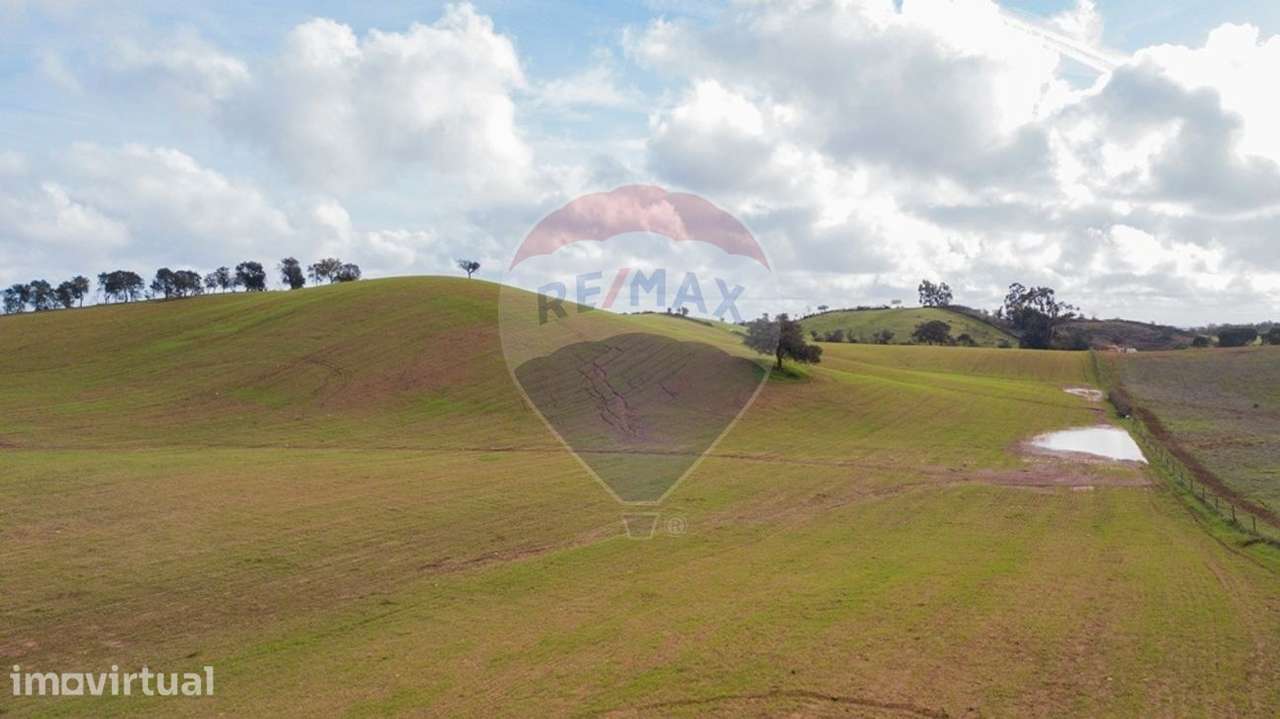 Terreno  para venda - Grande imagem: 2/19