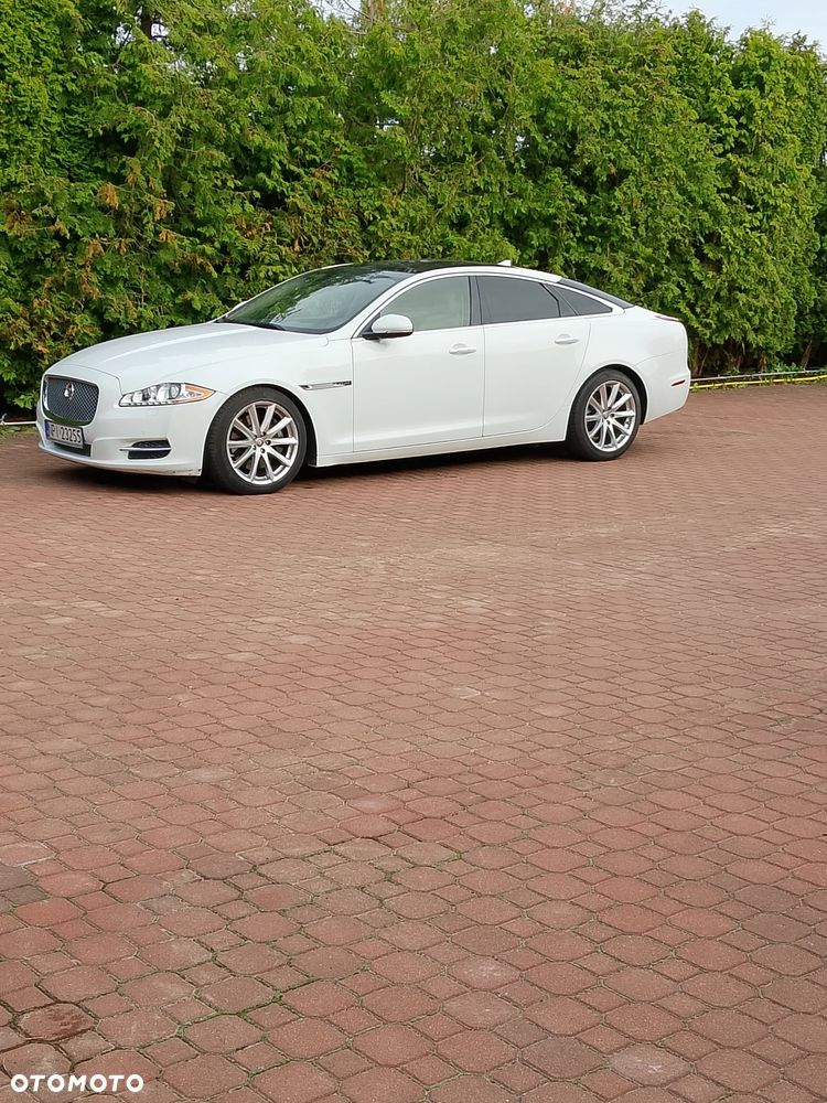 Jaguar XJ 3.0 V6 Kompressor Portfolio - 1