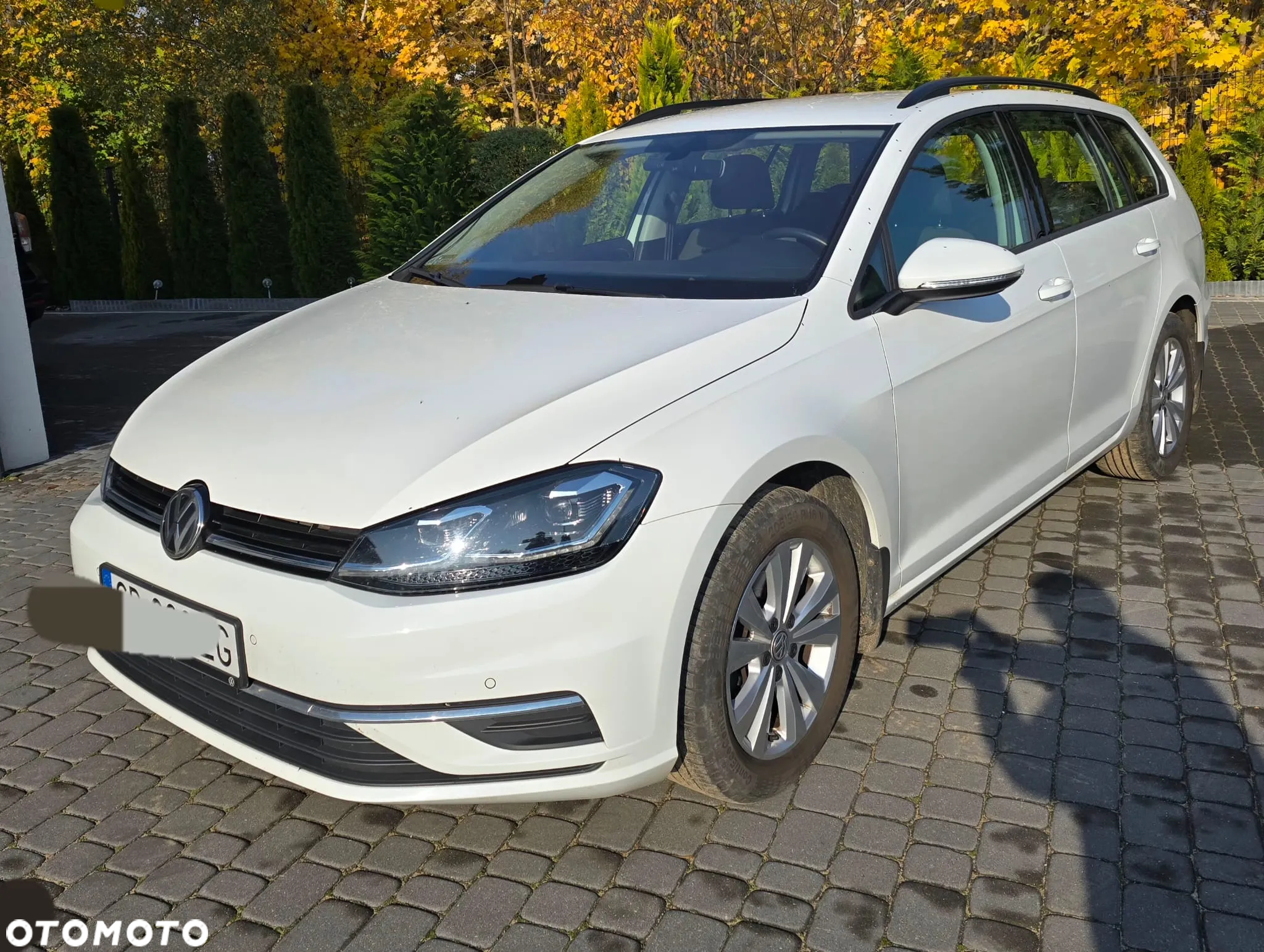 Volkswagen Golf VII 1.5 TSI BMT Evo Comfortline - 2