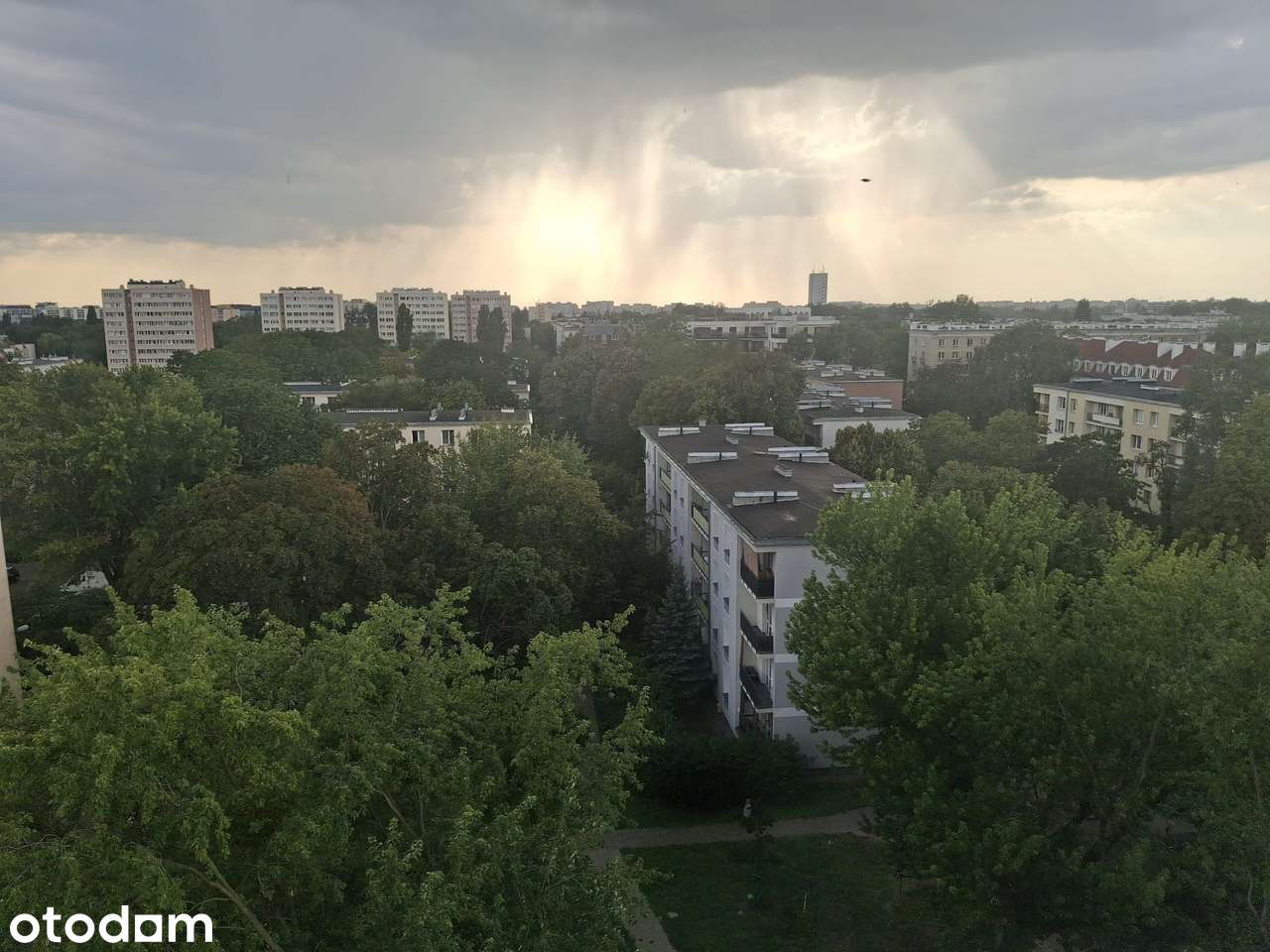 Mieszkanie przy metrze Wierzbno, 36 m2, 2 pokoje, widok na park