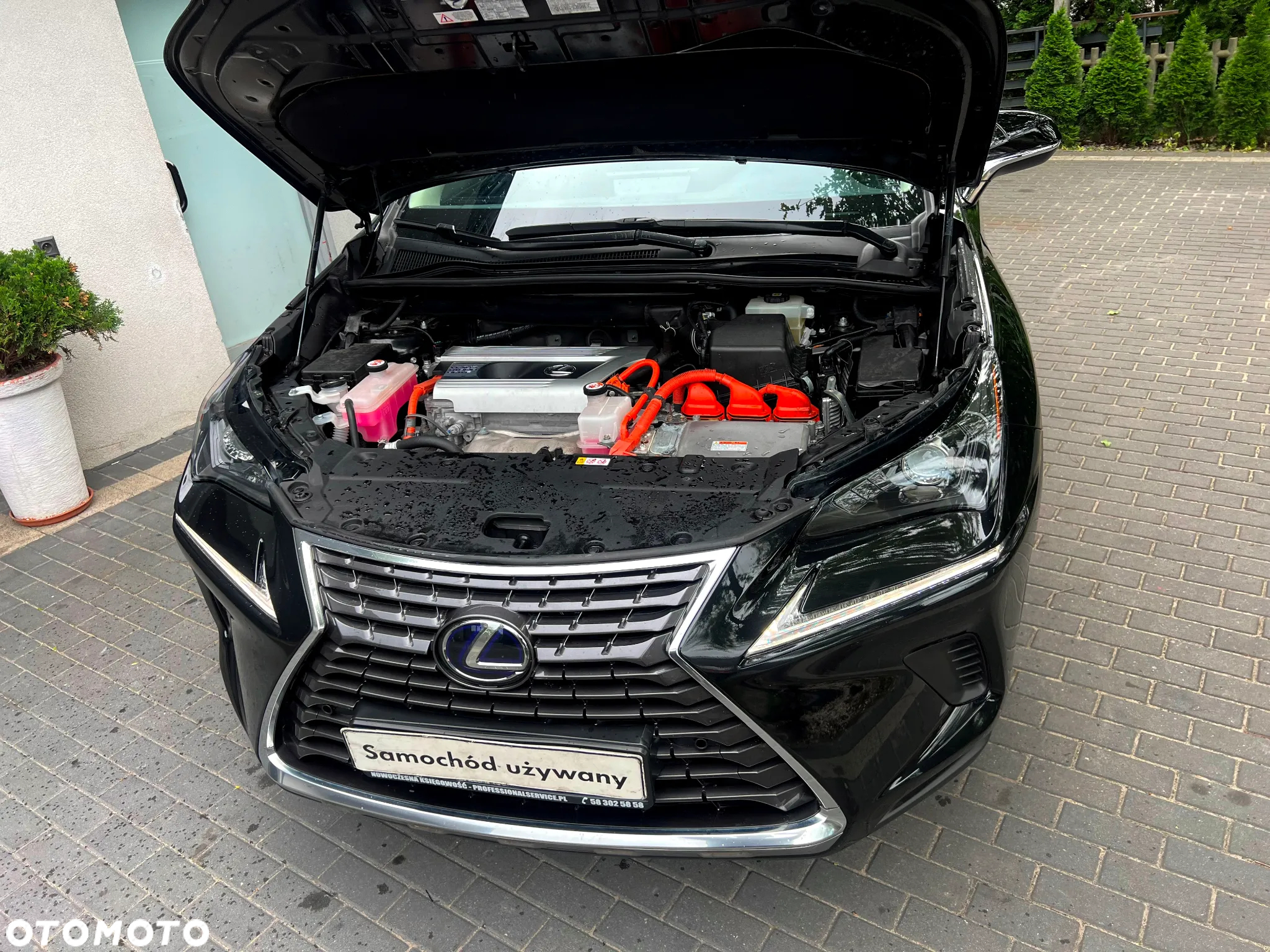 Lexus NX 300h Prestige AWD - 16