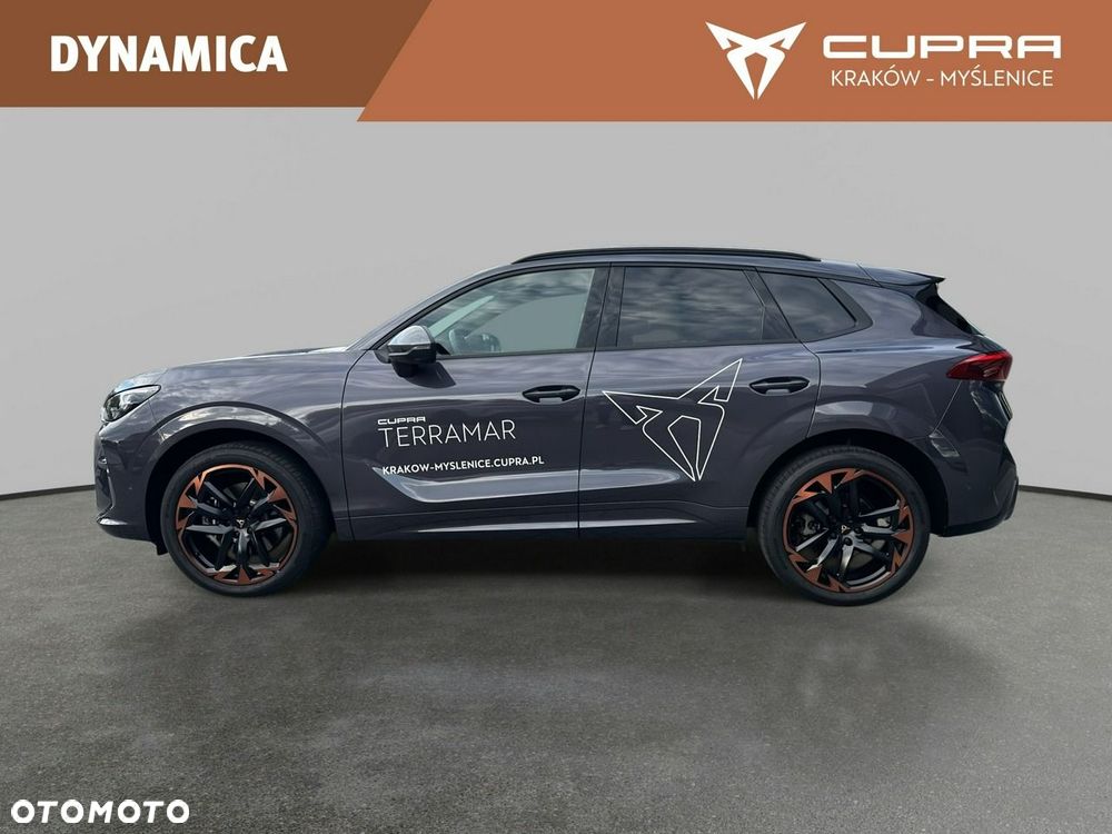 Cupra Terramar - 9