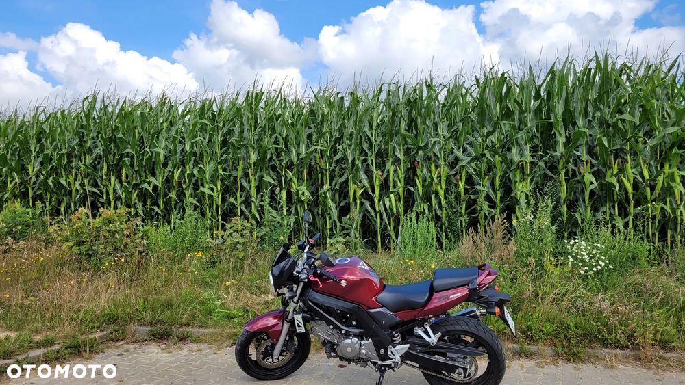 Suzuki SV - 1