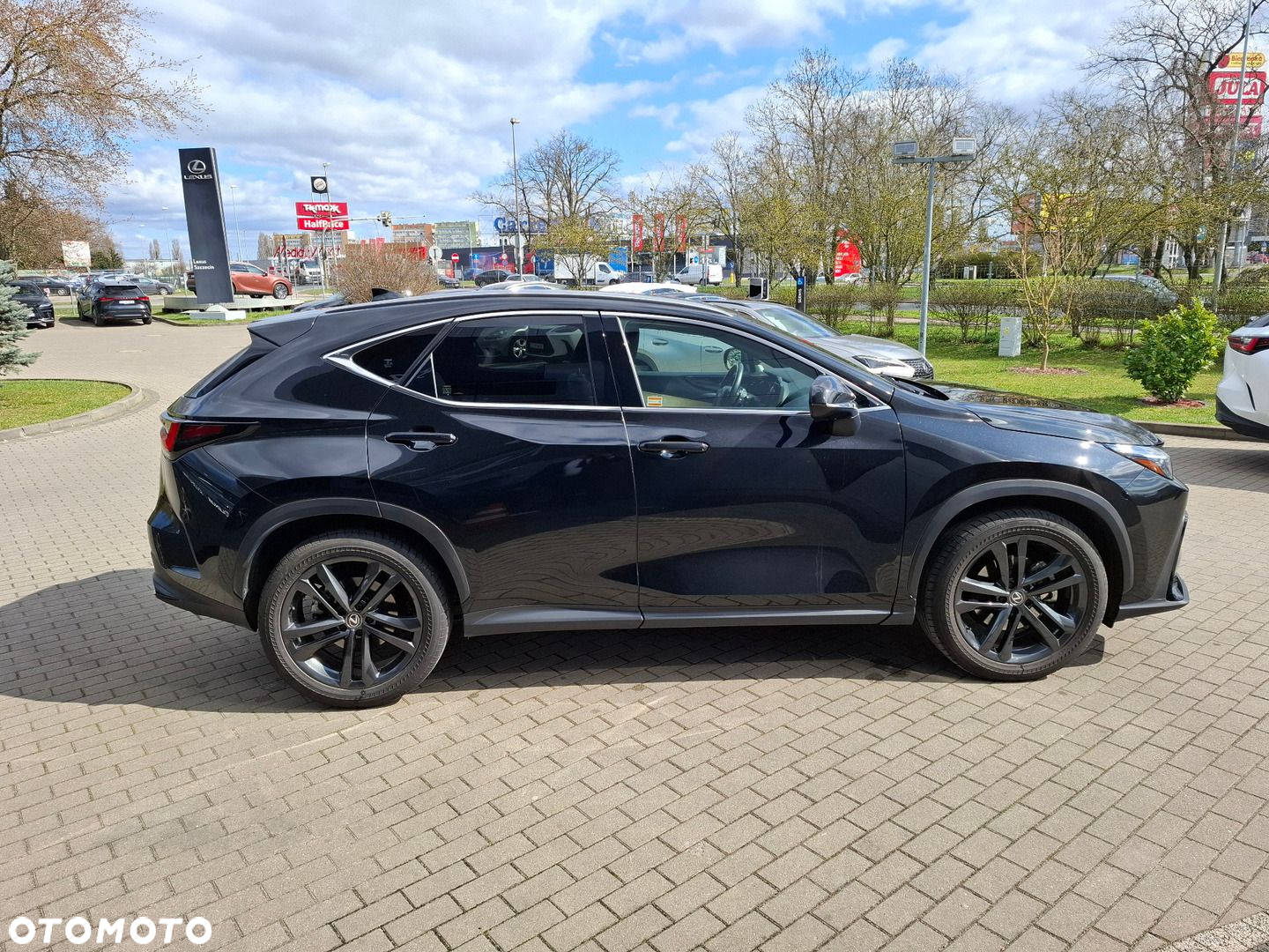 Lexus NX - 6