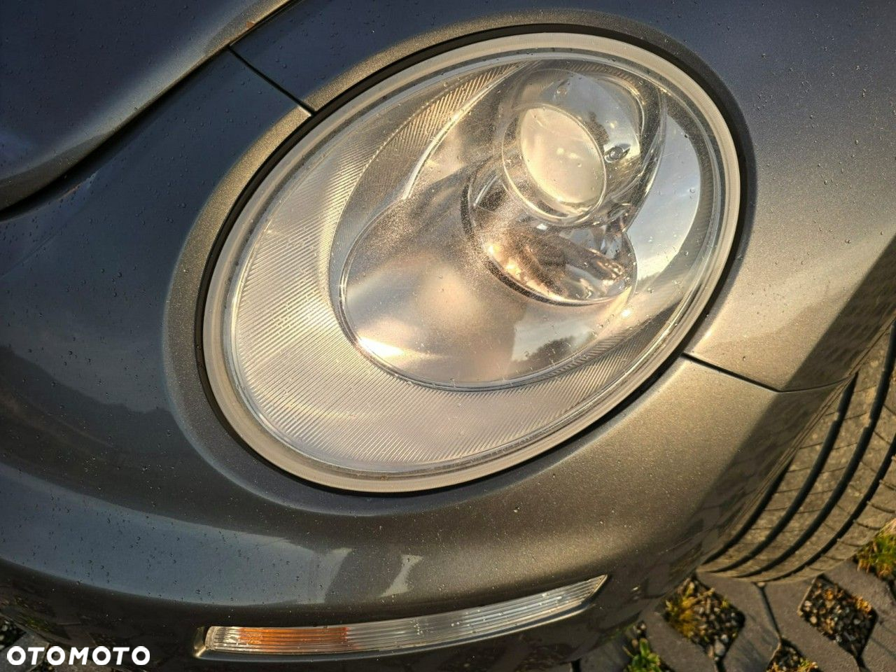 Volkswagen New Beetle - 28