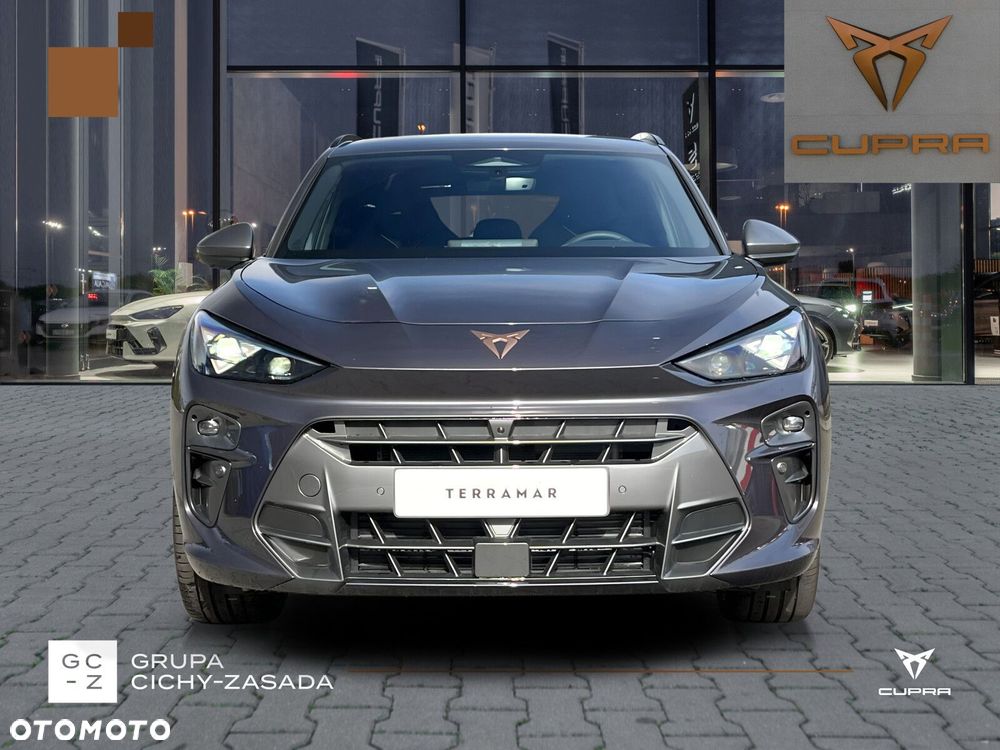 Cupra Terramar - 9