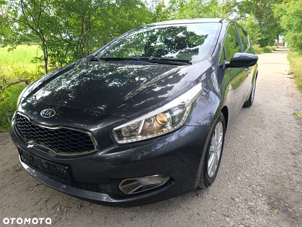Kia Ceed 1.6 CRDi 128 Fifa World Cup Edition - 1