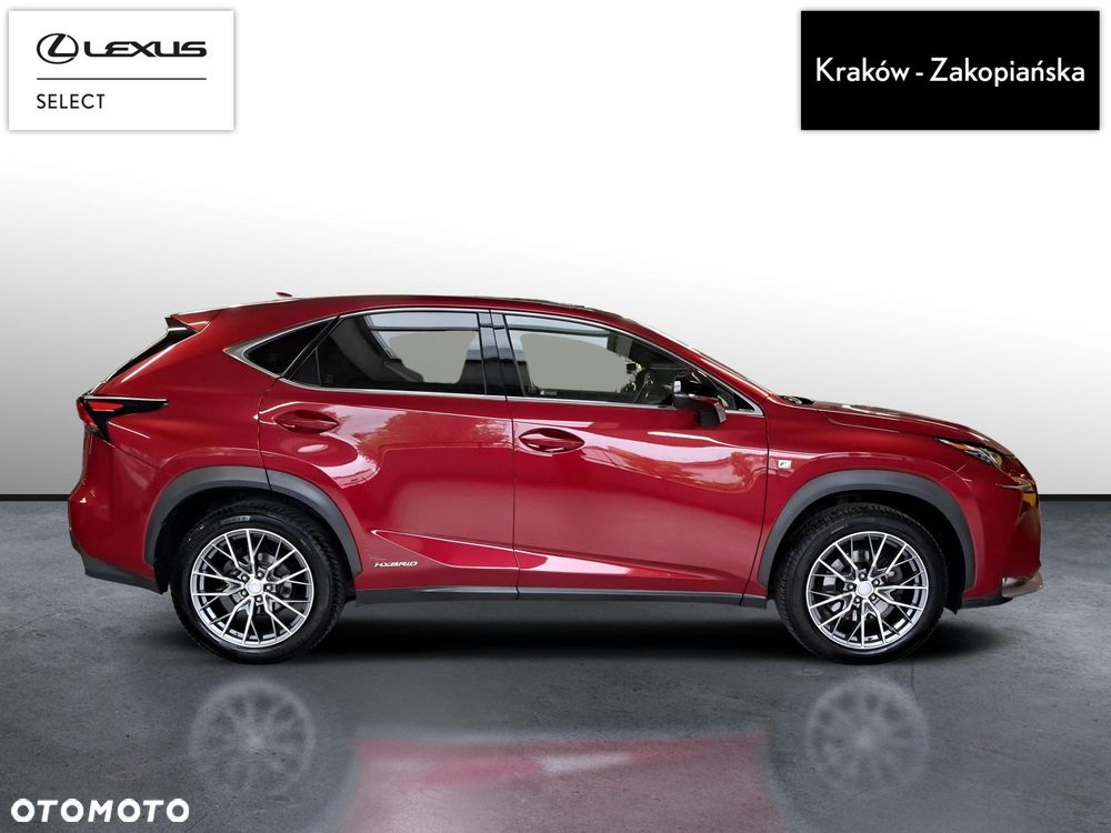 Lexus NX 300h F Sport AWD - 7