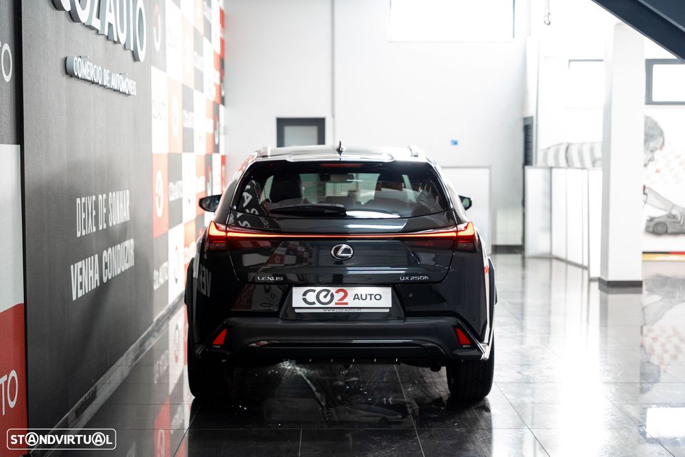 Lexus UX 250h F Sport - 5