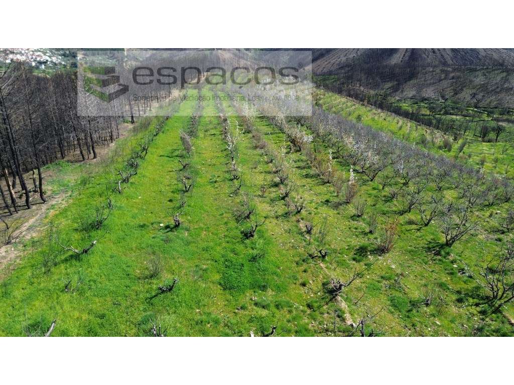 Terreno - Grande imagem: 3/25
