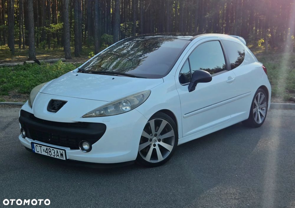 Peugeot 207 175 RC Cup - 1