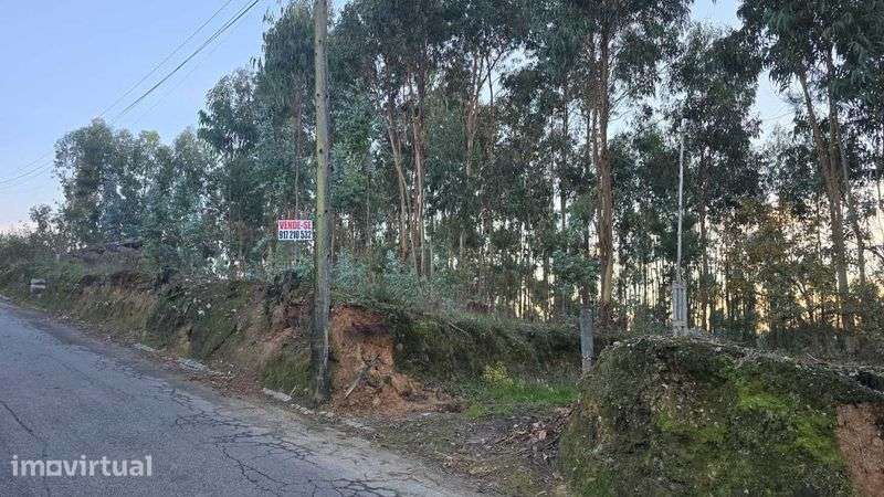 vende se terreno urbano - Crestuma - Grande imagem: 3/5