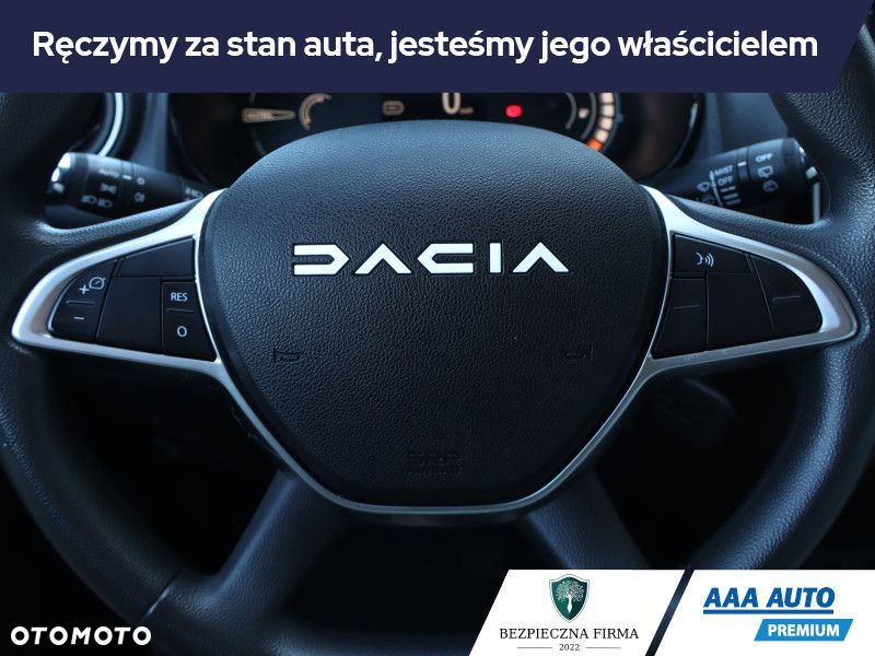 Dacia Spring - 18