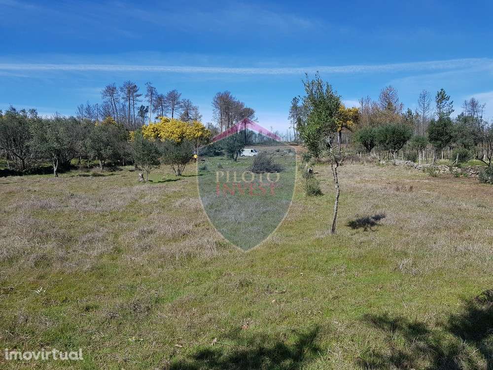 Terreno  Venda em Espinho,Mangualde - Grande imagem: 2/9
