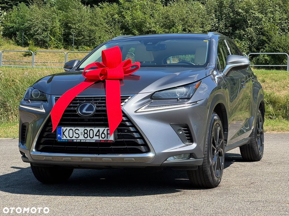Lexus NX 300h Prestige AWD - 4