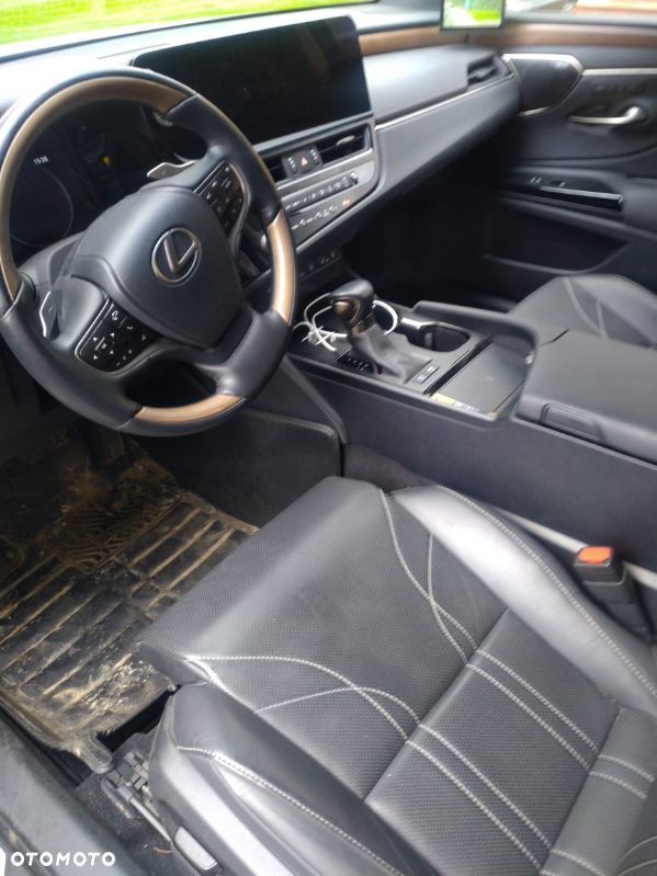 Lexus ES 300h Omotenashi - 2