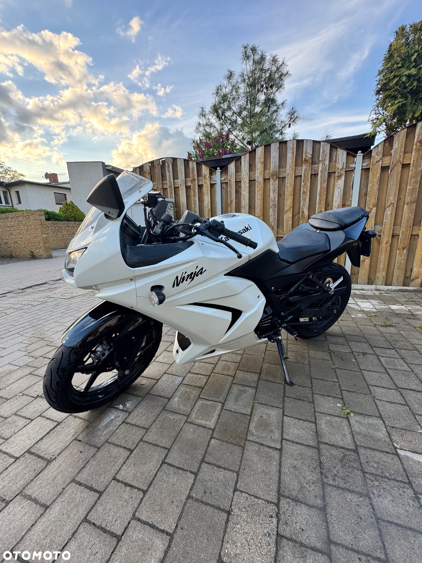 Kawasaki Ninja 250R - 3