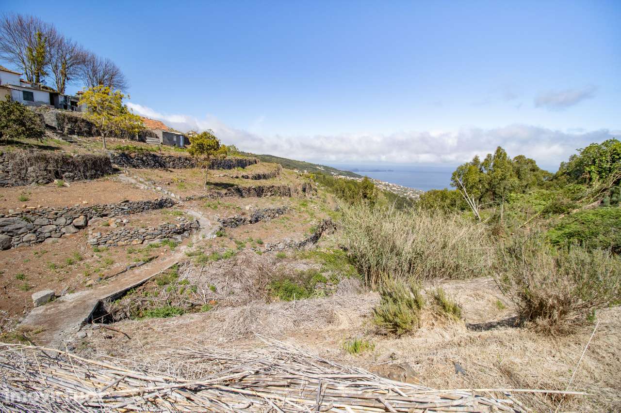 Terreno com Vista Mar e Potencial de Construção em Santa Cruz - Grande imagem: 5/24