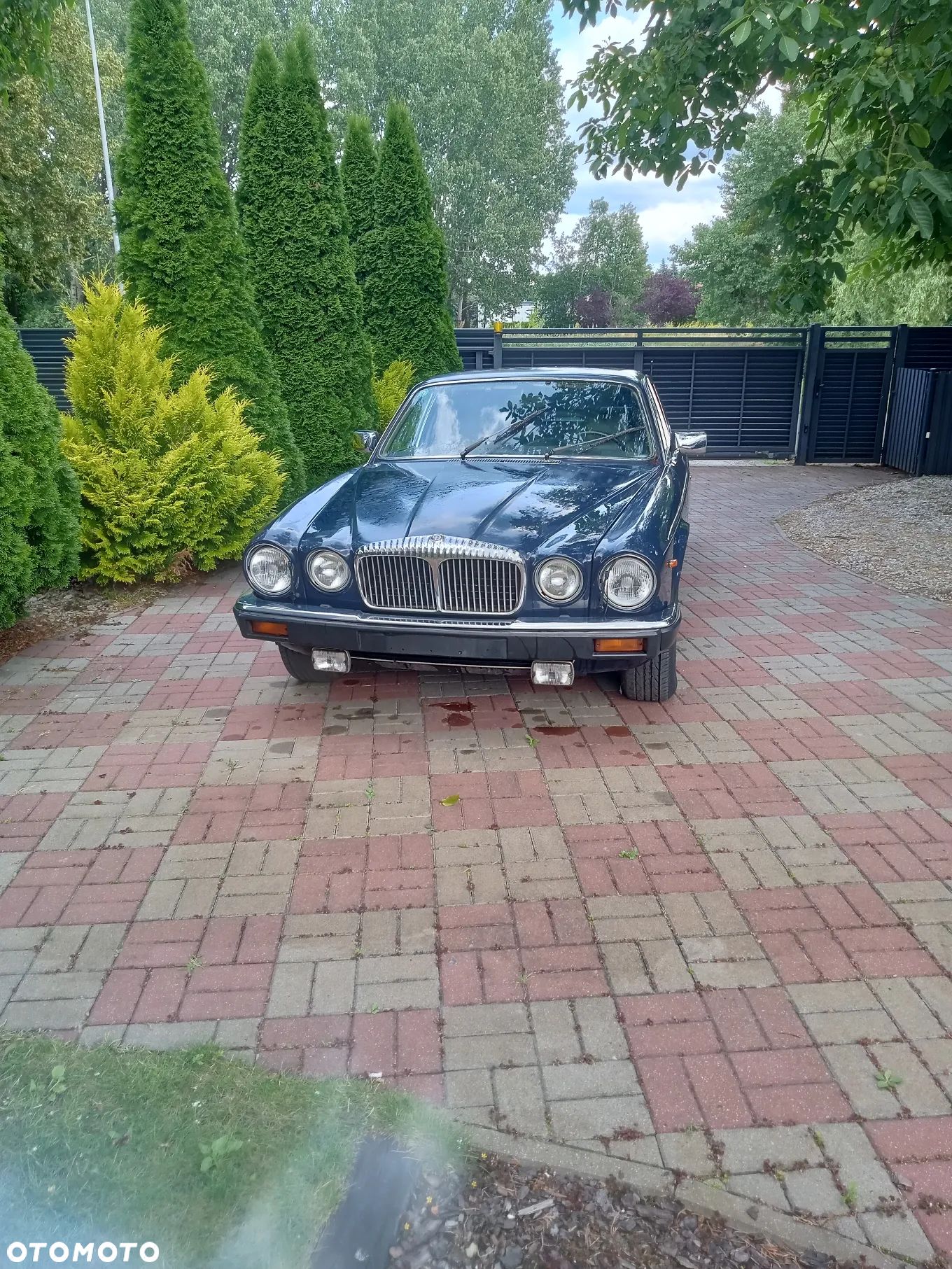 Jaguar Daimler Double Six 5.3i - 1