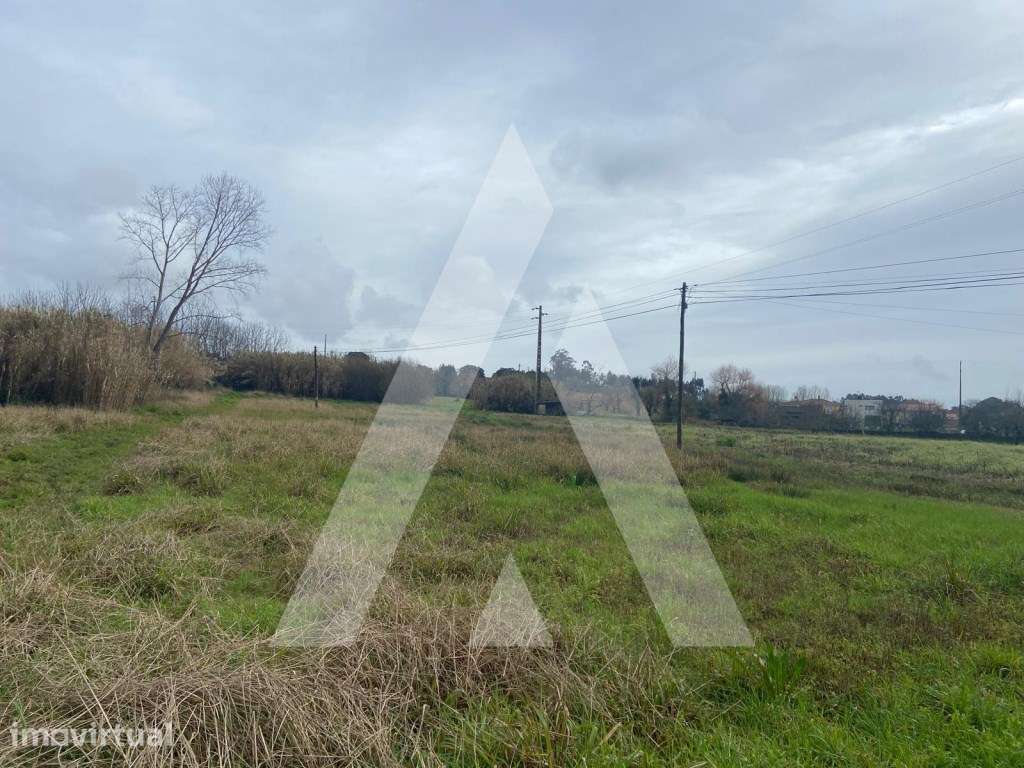 terreno na Amoreira da Gândara em Anadia - Grande imagem: 5/6