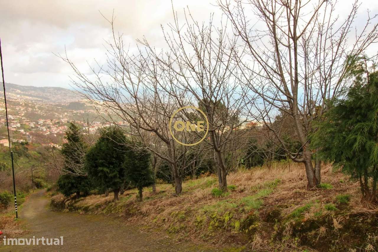 Terreno 600m2 - Grande imagem: 2/7