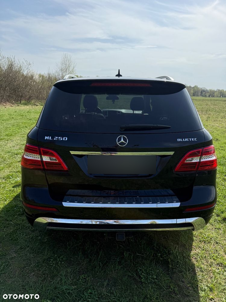 Mercedes-Benz ML 250 BlueTec 4-Matic - 2