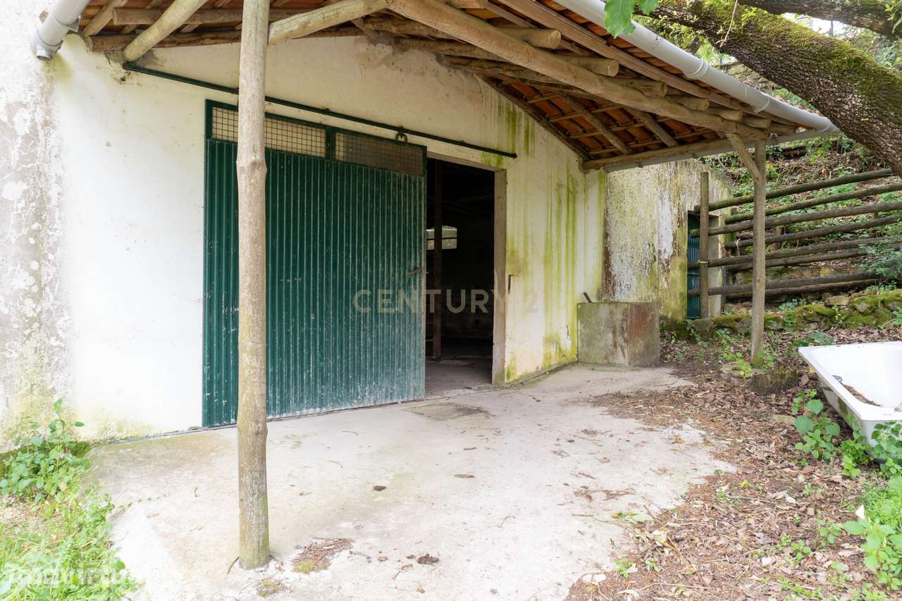 Quintinha em Alenquer com Excelente Potencial – 5,8 Hectares - Grande imagem: 4/27