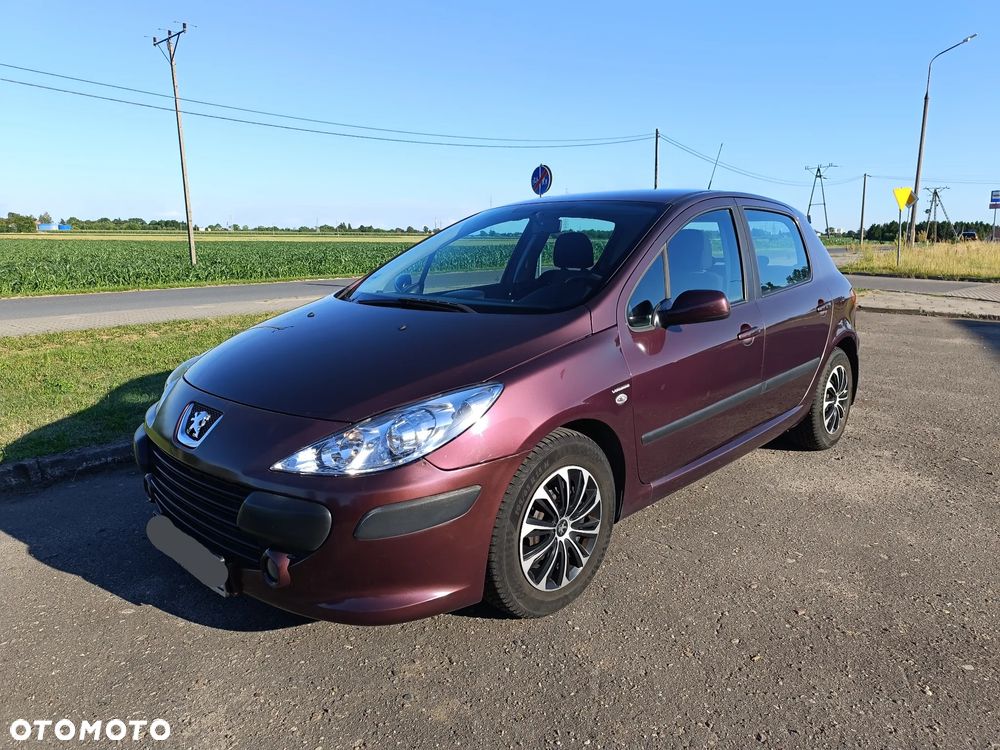 Peugeot 307 1.6 Trendy - 3
