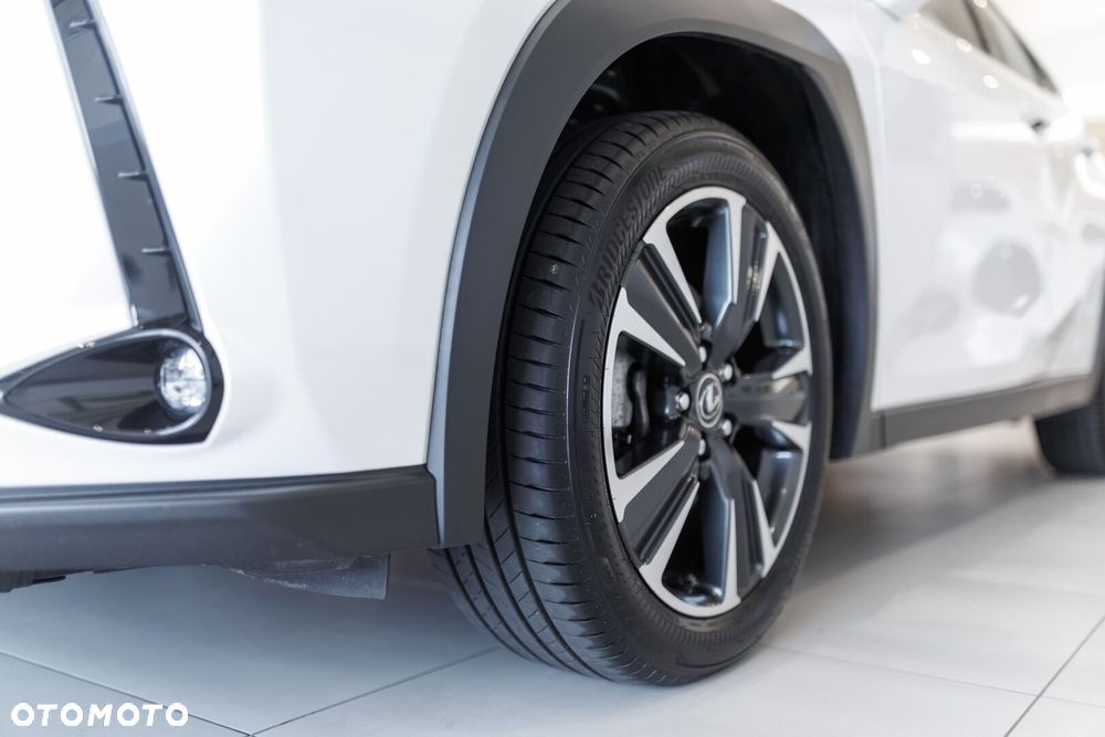Lexus UX 300h Business - 15