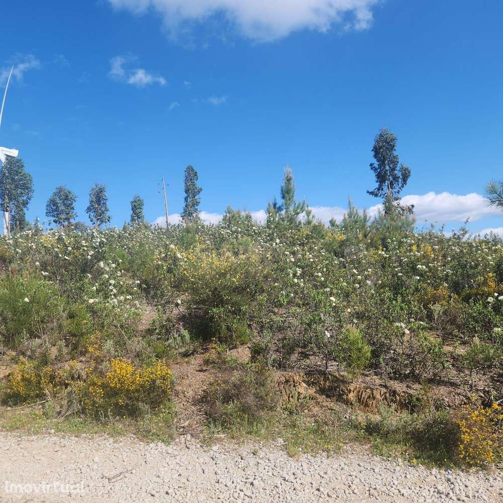 Terreno Rústico com 4000m2, Retaxo, Castelo Branco - Grande imagem: 2/10
