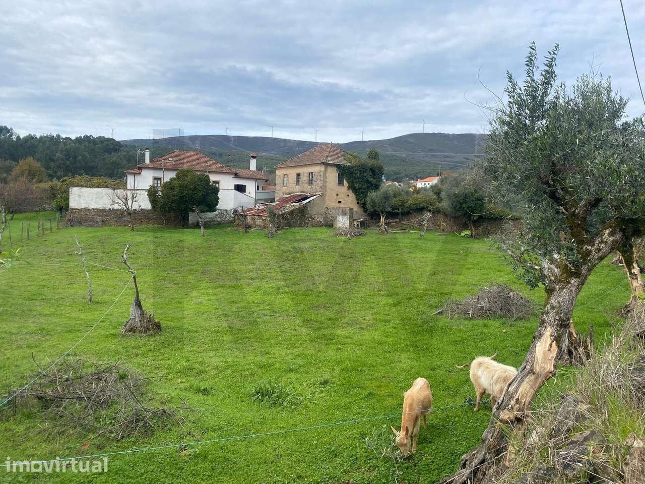 Vende-se Casa de Pedra para Reabilitar – Serrada da Palheira, Castanhe - Grande imagem: 2/8