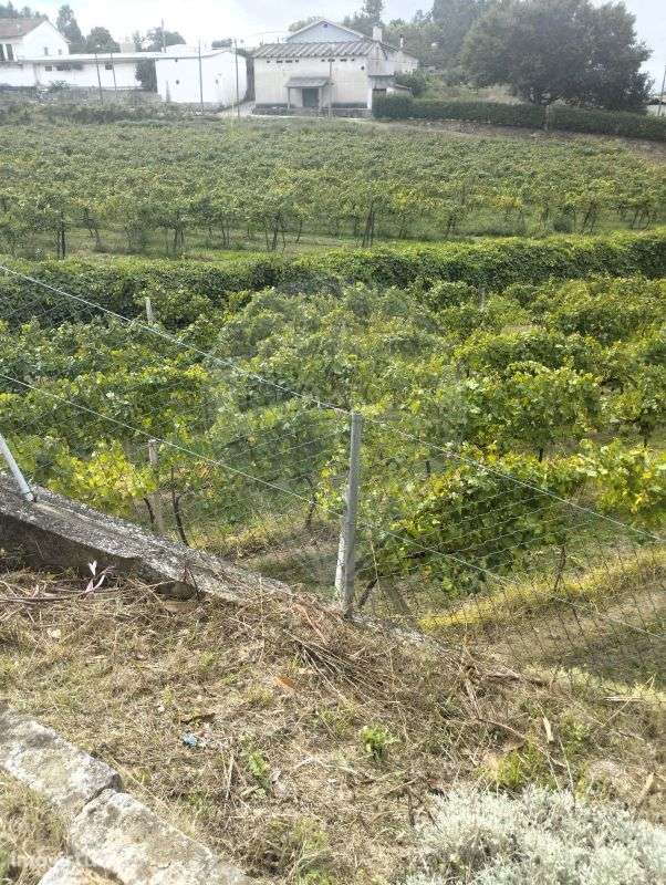 Terreno  para venda - Grande imagem: 3/5