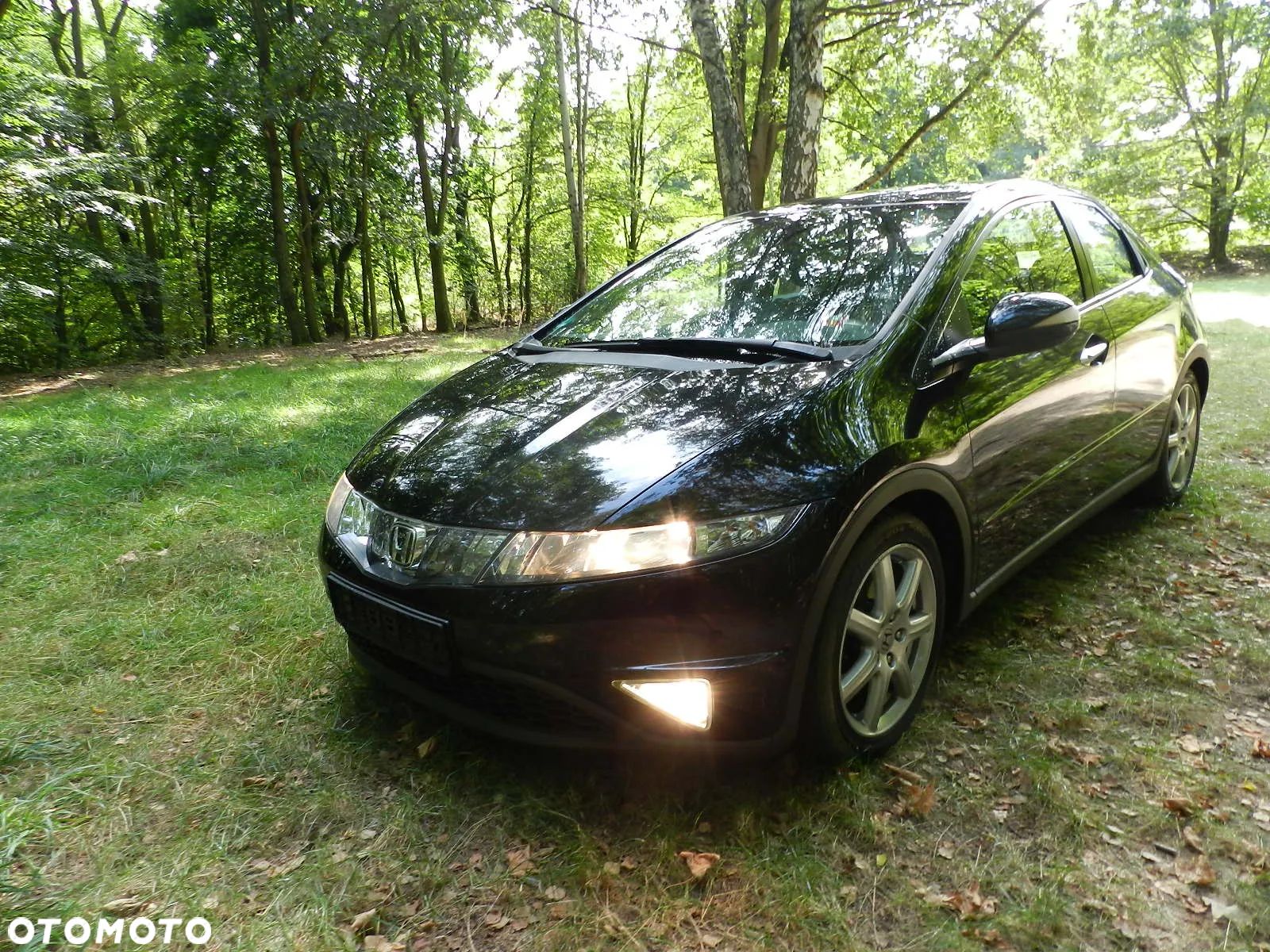 Honda Civic - 1