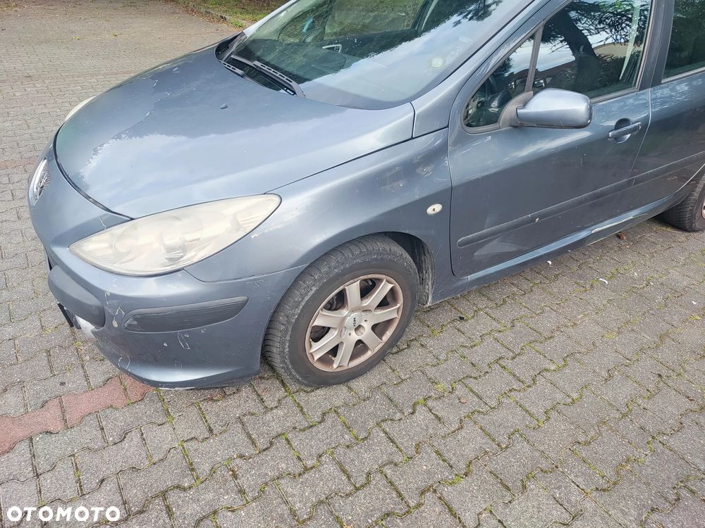 Peugeot 307 1.6 - 30