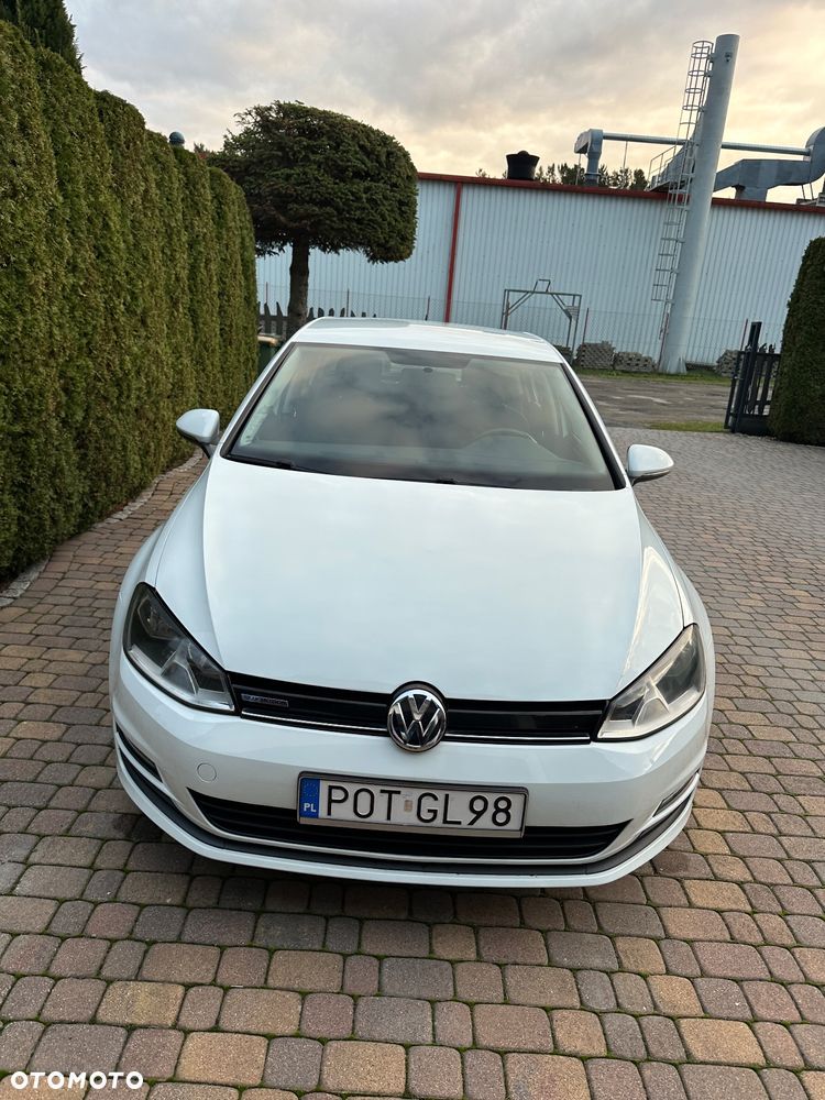 Volkswagen Golf 1.6 BlueTDI Trendline - 2