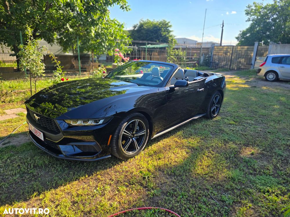 Ford Mustang Cabrio 2.3 Eco Boost - 3