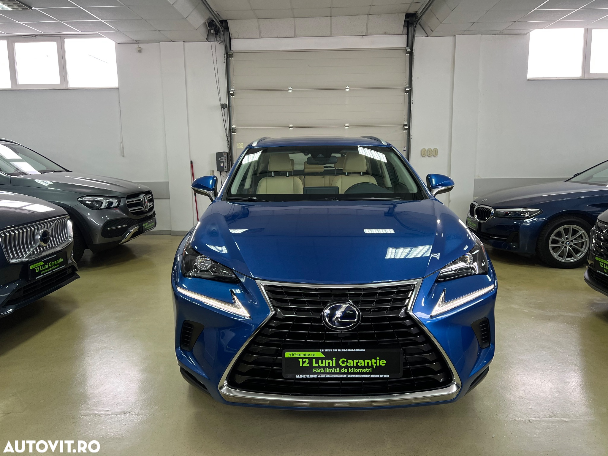 Lexus Seria NX 300h AWD Business - 33