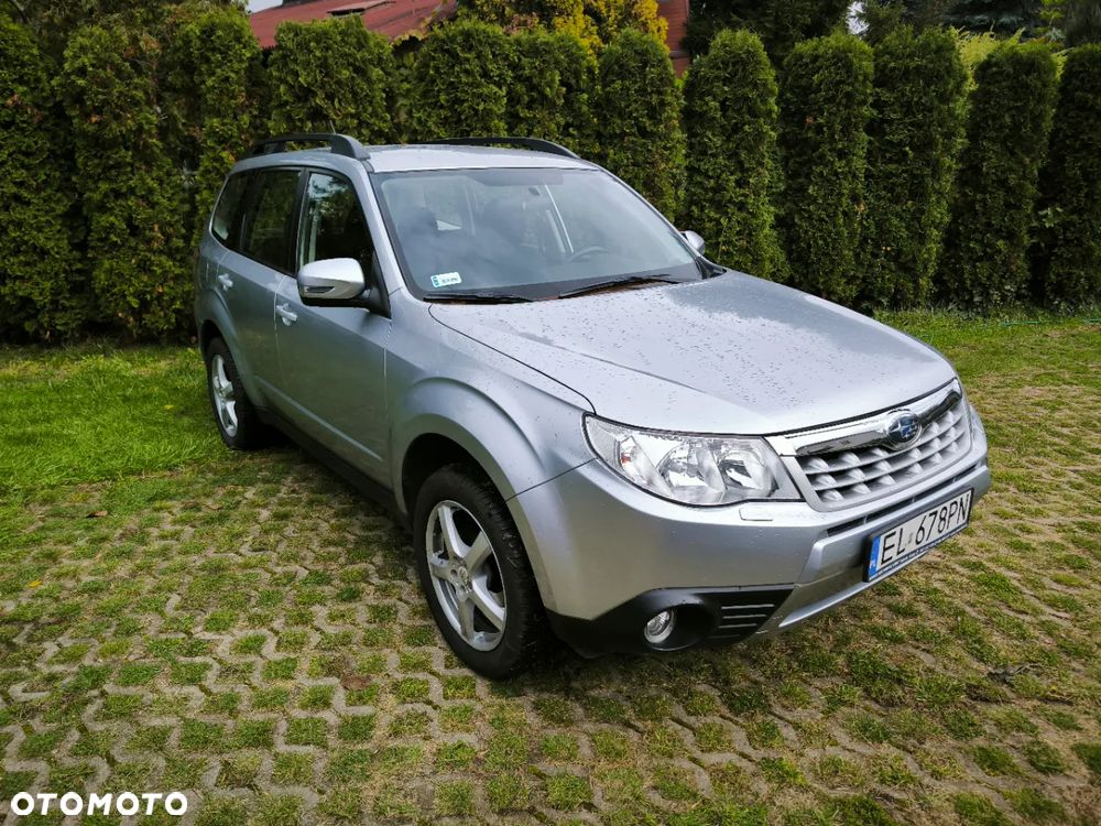 Subaru Forester - 20