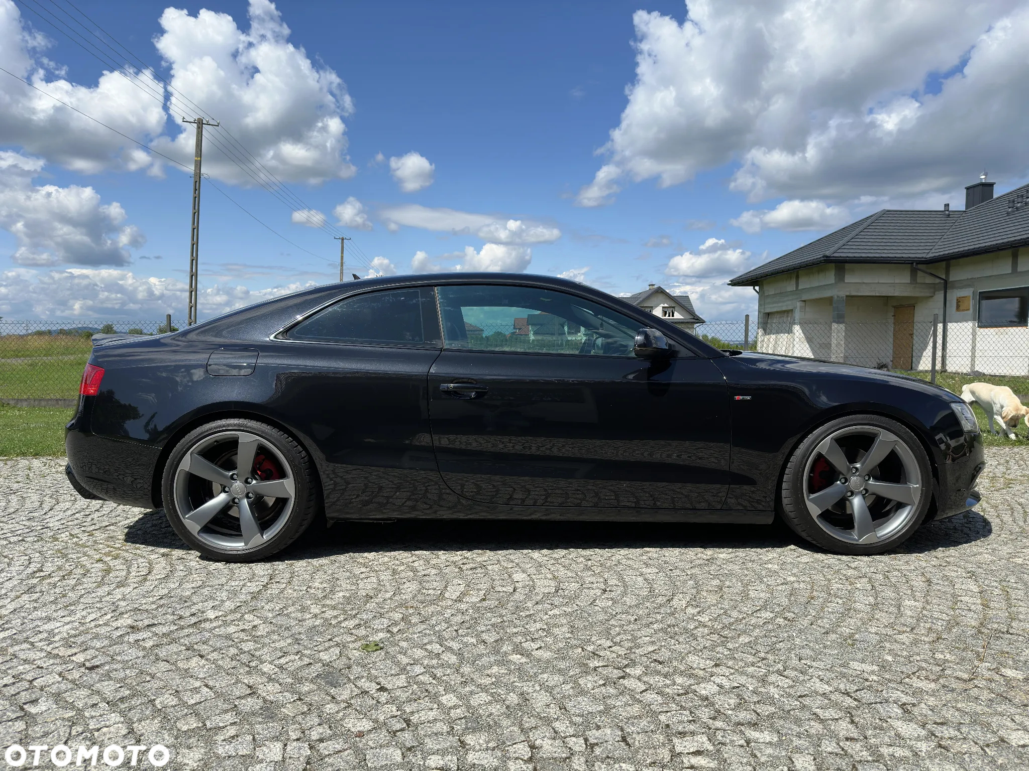 Audi A5 2.0 TDI DPF quattro S tronic - 13