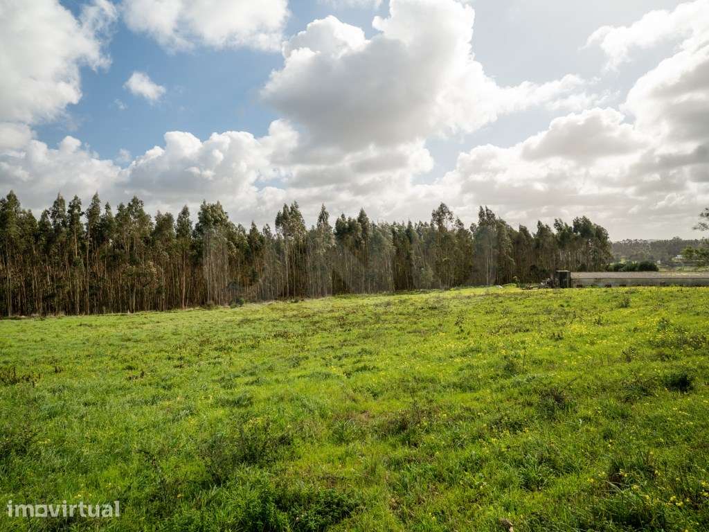 Terreno para construção, para venda, Caldas da Rainha - Grande imagem: 2/10